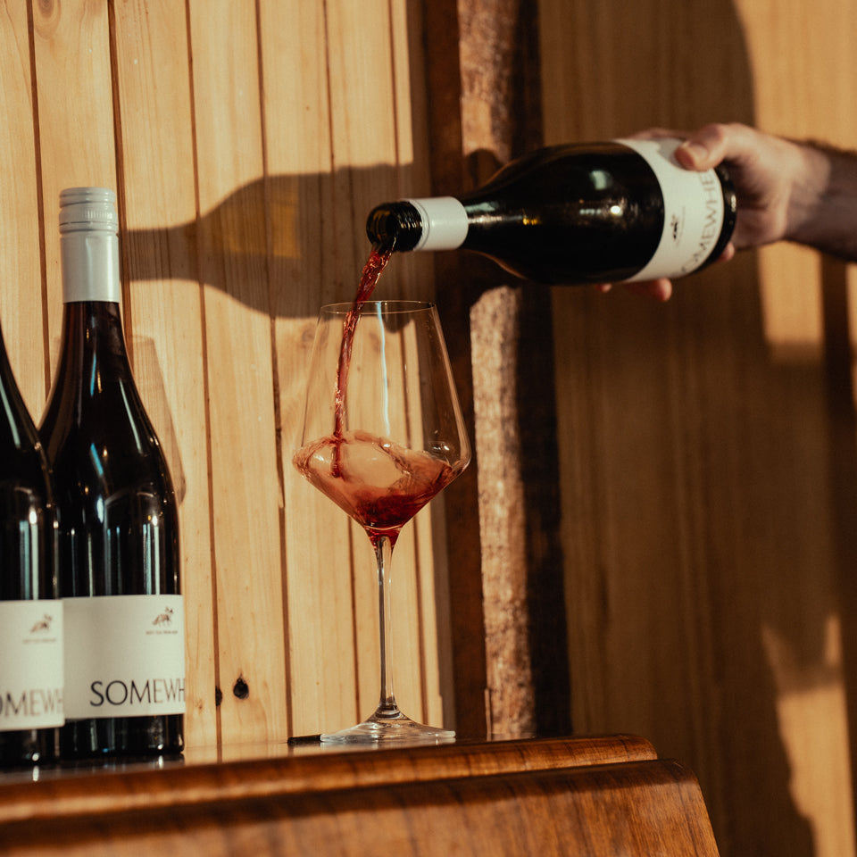 Mourvèdre