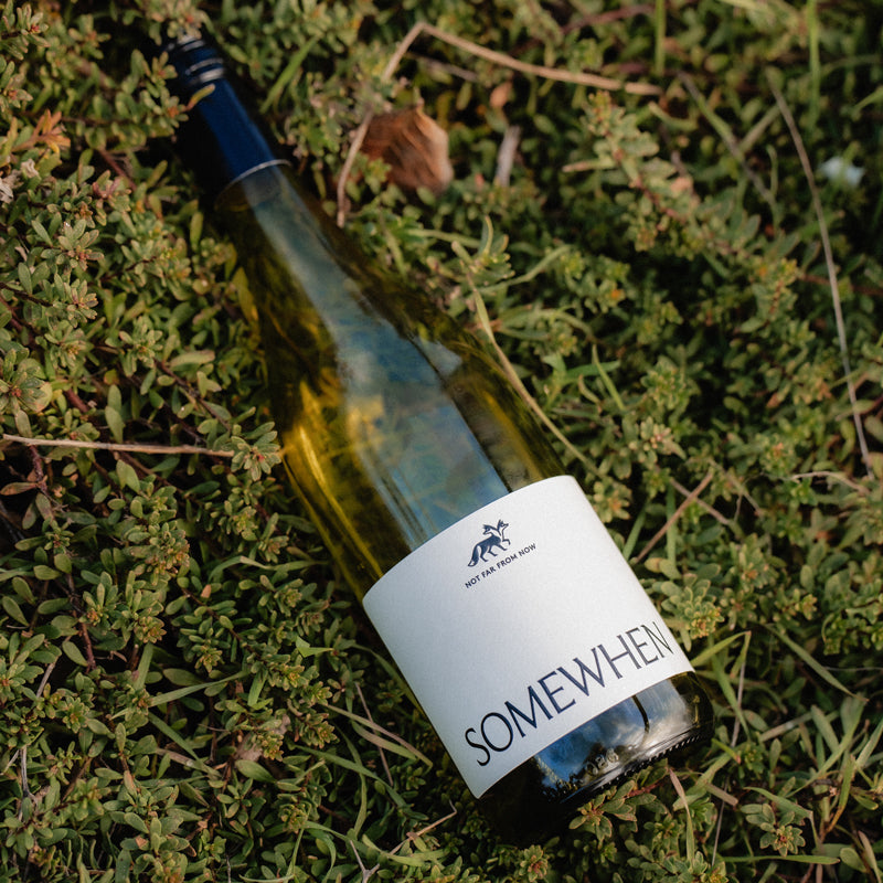 Pinot Grigio